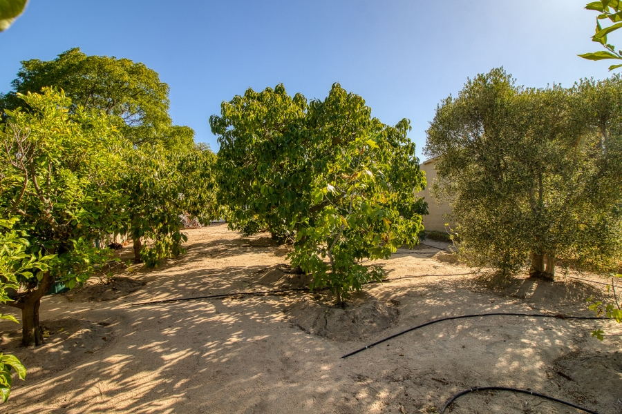 3 Bedroom Property for Sale in Die Wingerd Western Cape